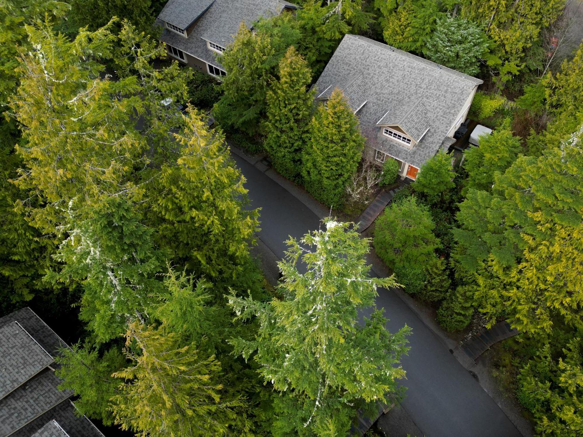 Long Beach Lodge Resort Tofino Exterior photo